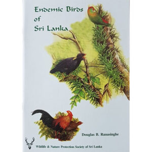 Endemic Bird (English) by Douglas  Ranasinghe