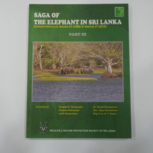 Saga of Elephant (Part 3)